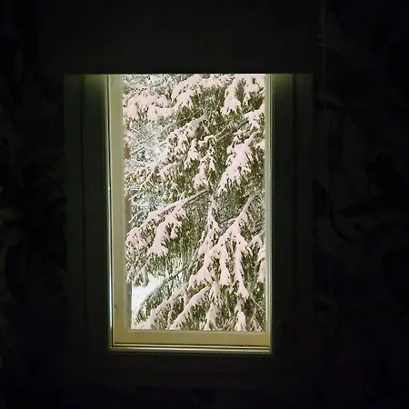 Rollo - Spacious With Sauna Near Center