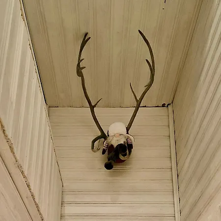 Villa Rollo - Spacious With Sauna Near Center *